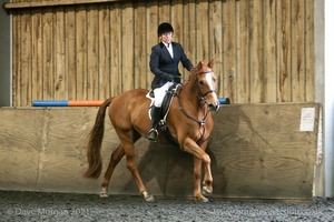 Isis Dressage Crown Farm Show 29th April 2012